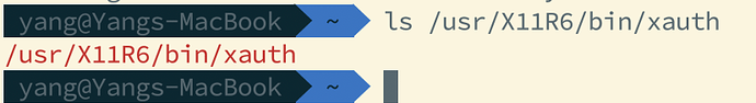 xquartz ssh forwarding