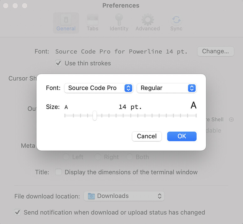 Oh My Zsh themes and fonts Howtos Codinn Community