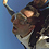Fabio_Lage